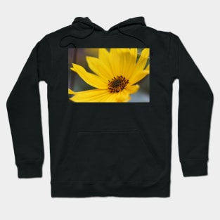 Floral Sunshine Hoodie